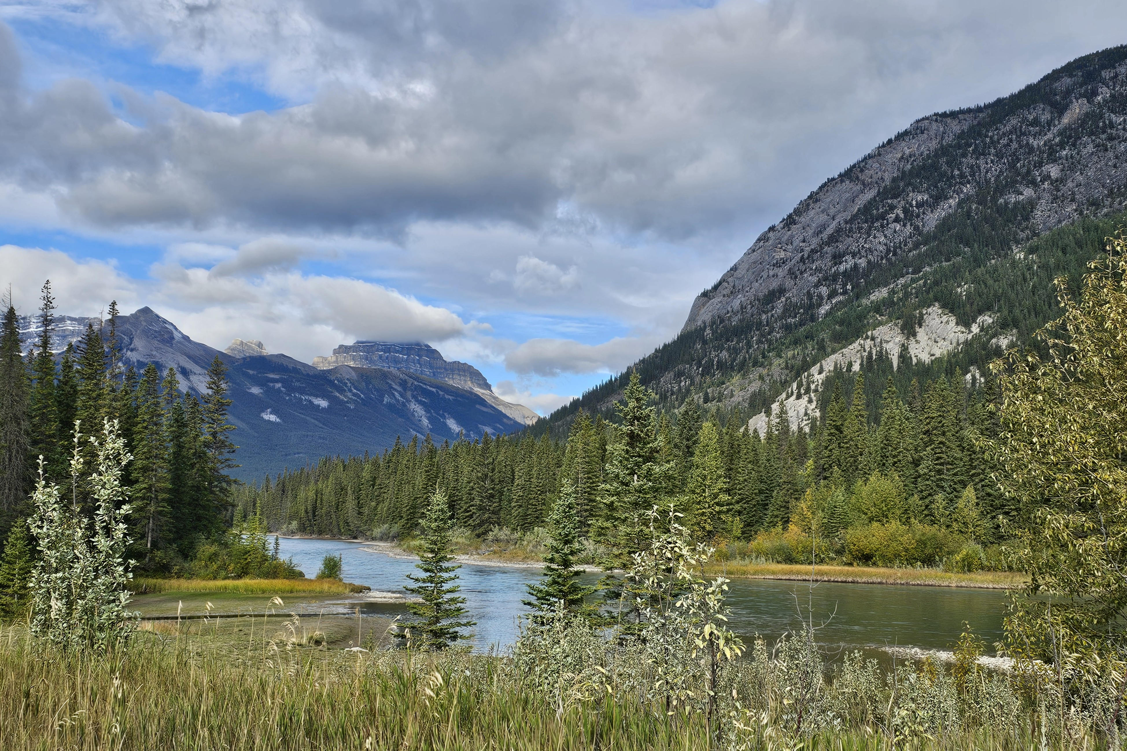 NP Banff